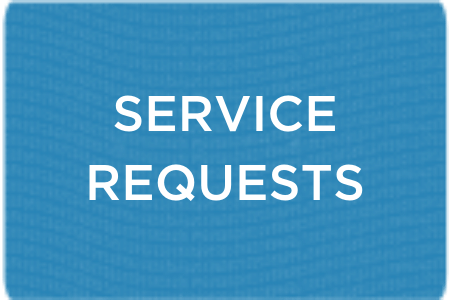 Service Requests Blue 