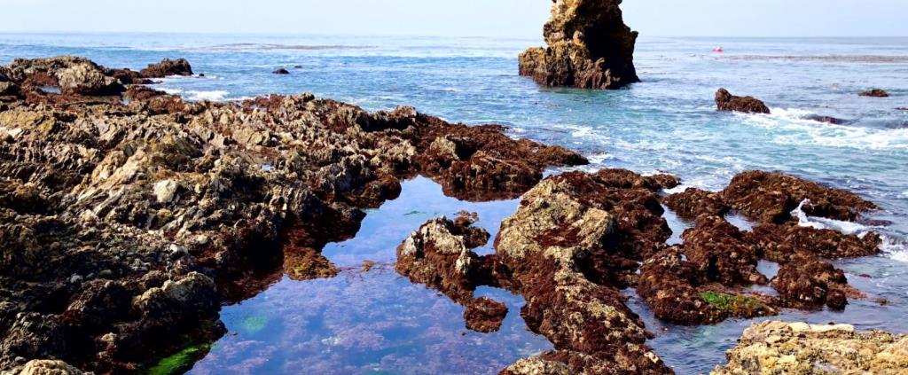 tidepools