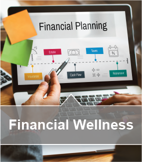 Financial Wellness