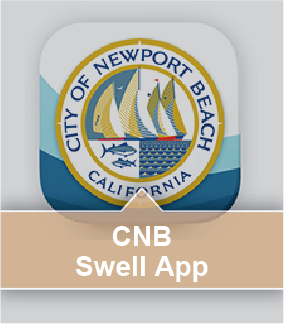 CNB Swell App