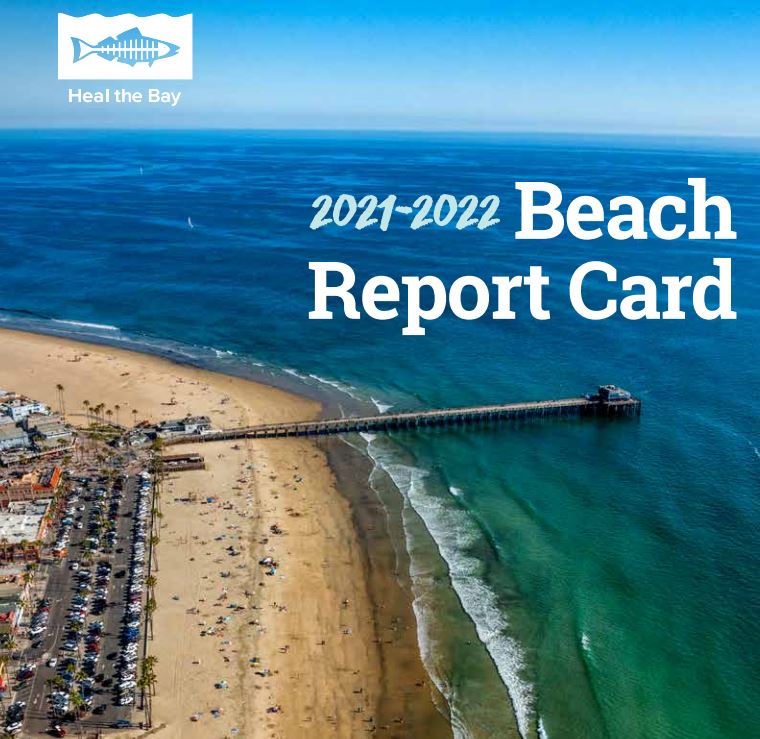 Newport Pier HTB Report Cover
