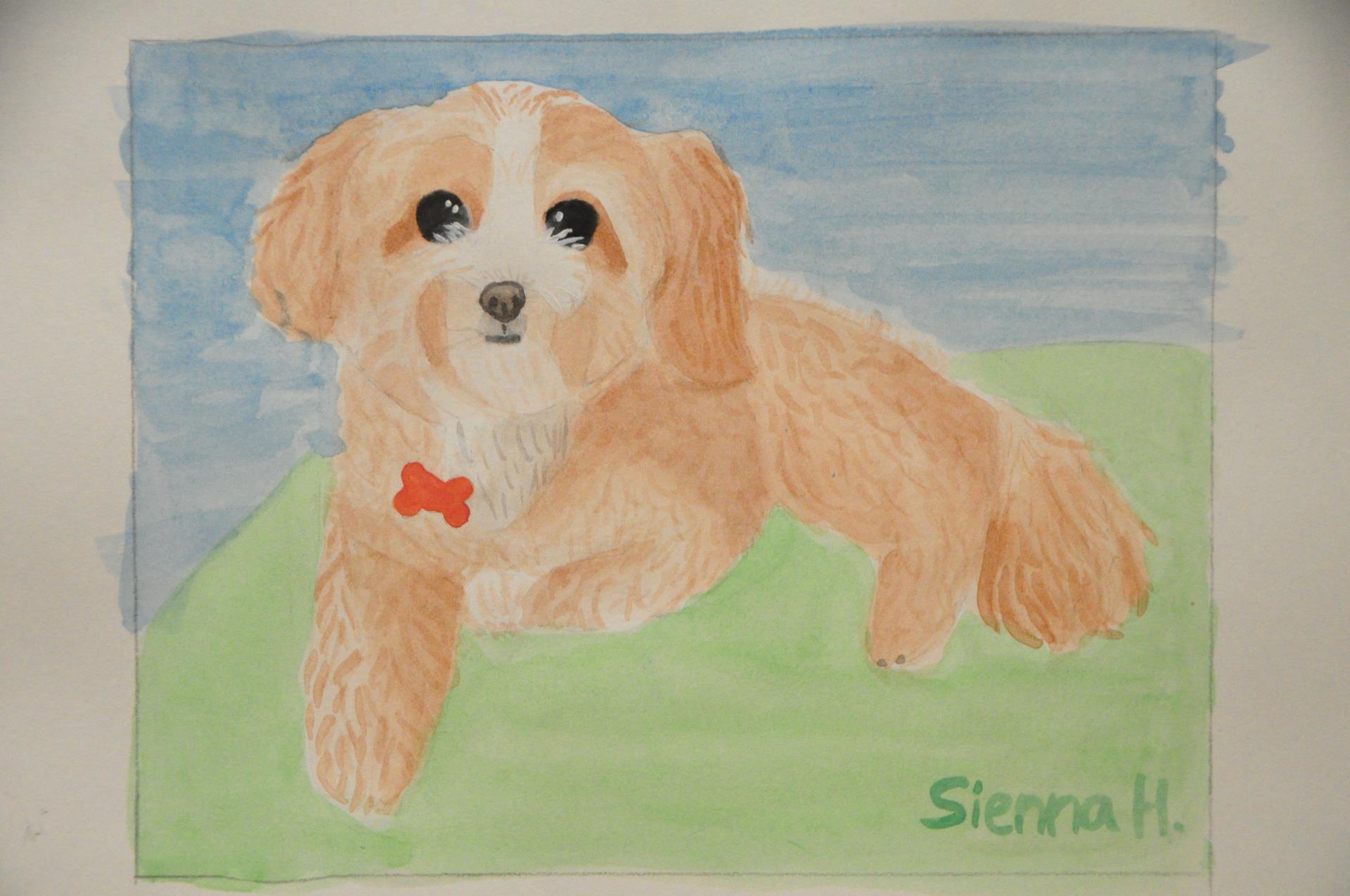 Sienna - Teddy - Painting