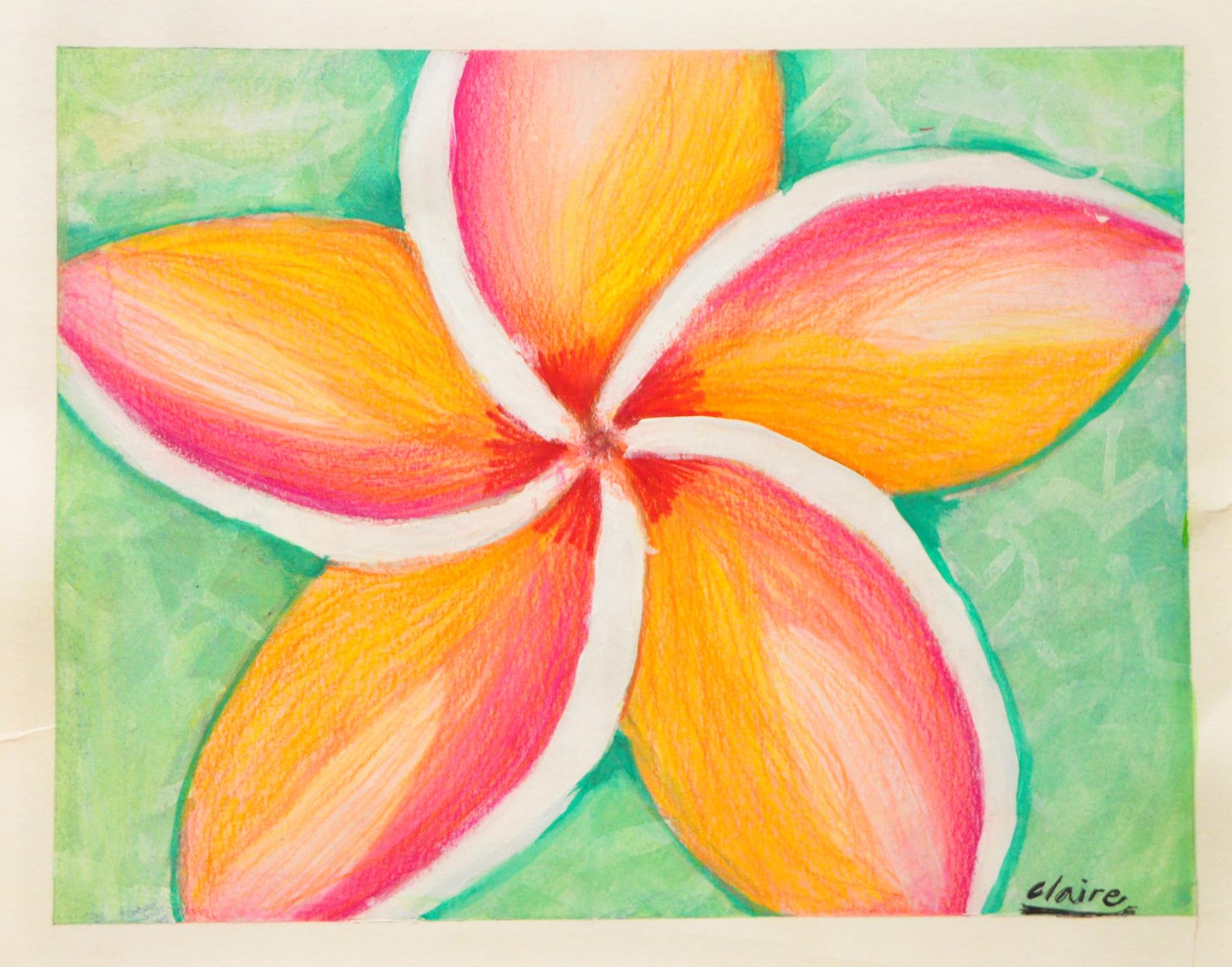 Claire - Sunset's Plumeria