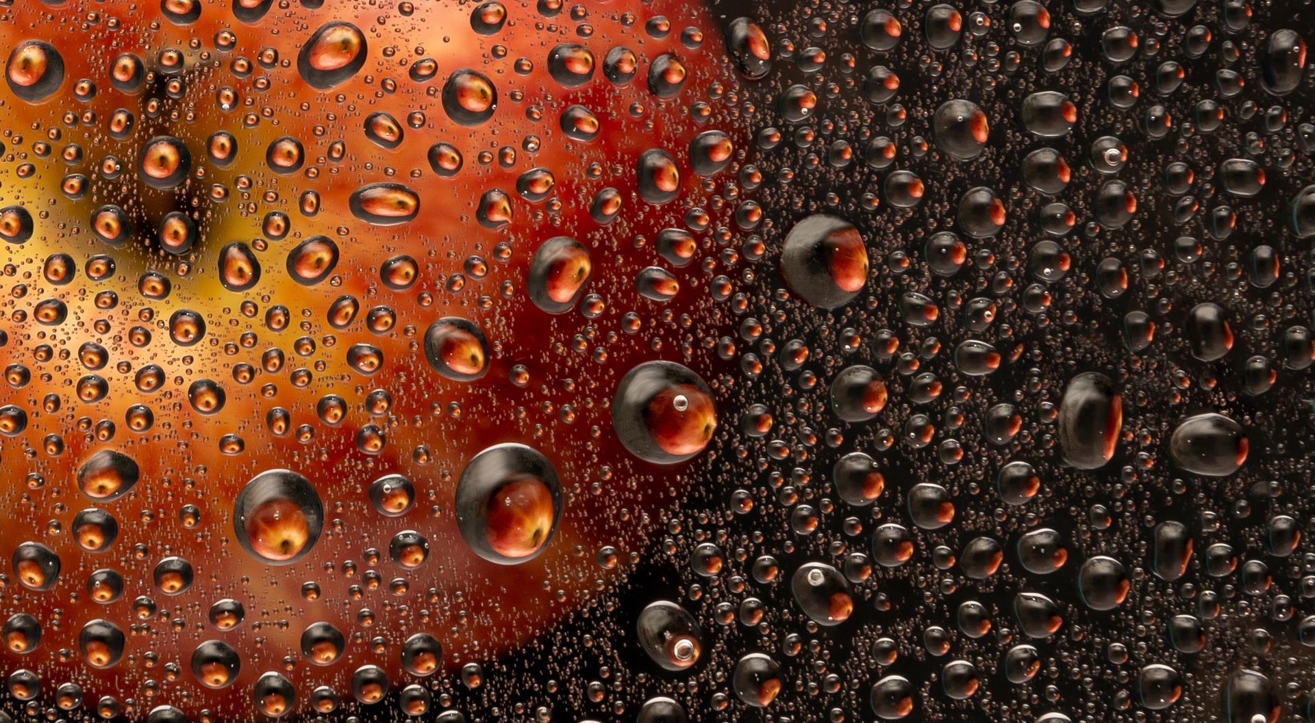 Photograph of apple with dew drops