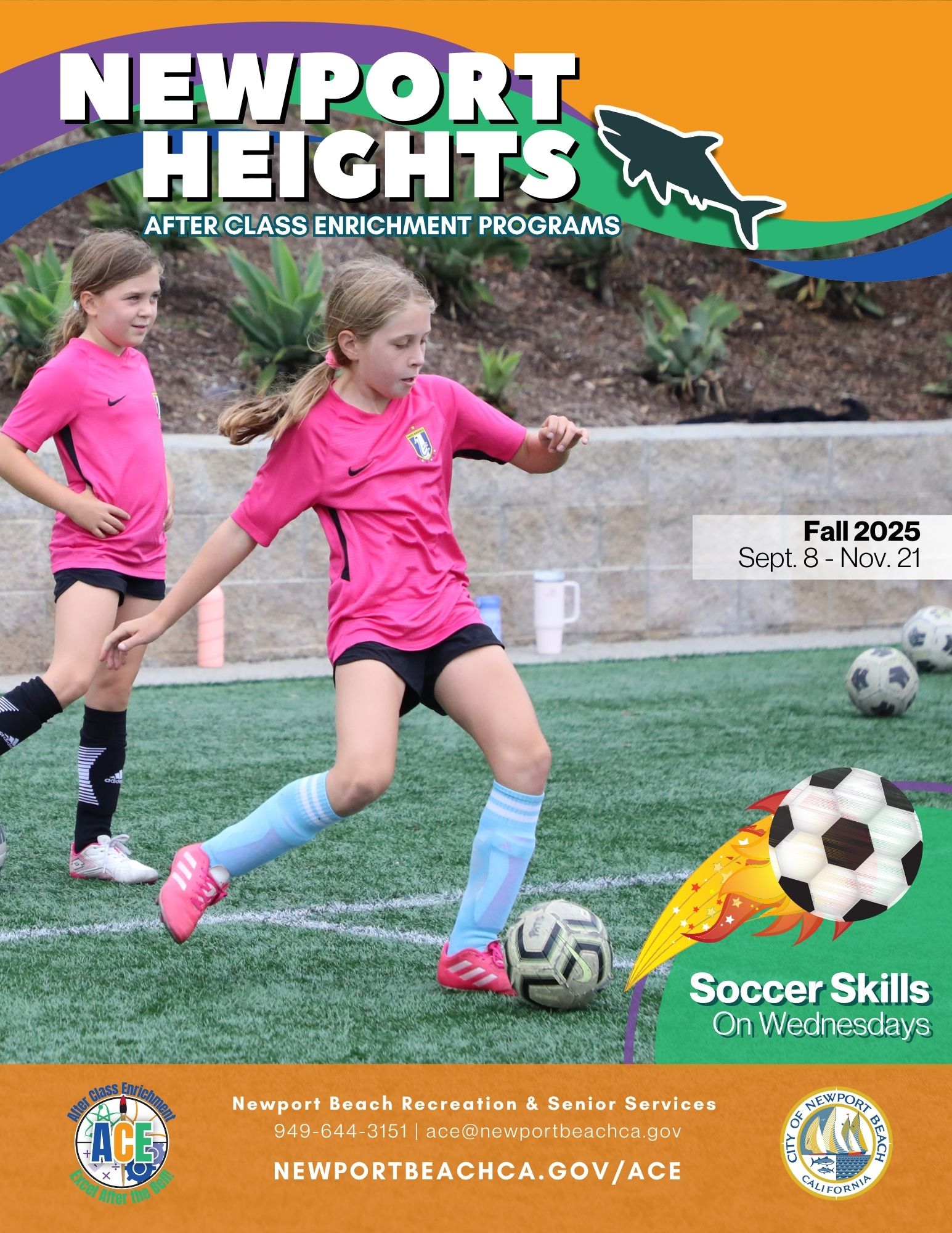 ACE SPRING Brochures 2024 (3)